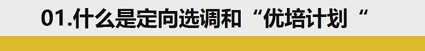 留学生的天塌了？北京今年定向选调不招留学生？留学不再吃香了吗（组图） - 5