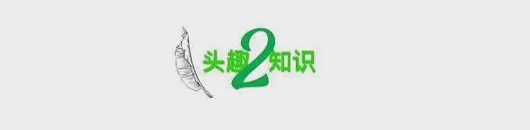 全网疯传的“海底捞穷求婚20秒”视频，撕开了人性最丑陋的一面（组图） - 8