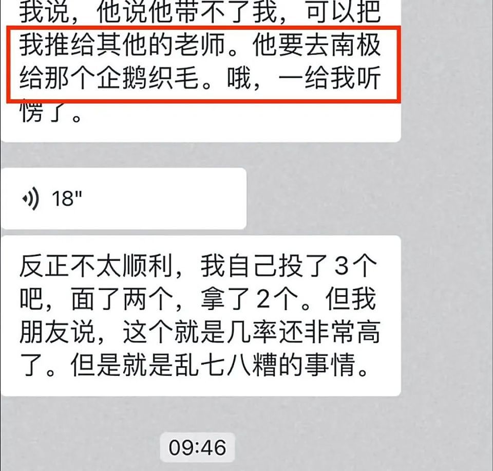 为什么一夜之间，打工人都想辞职去南极给企鹅织毛衣？（组图） - 2