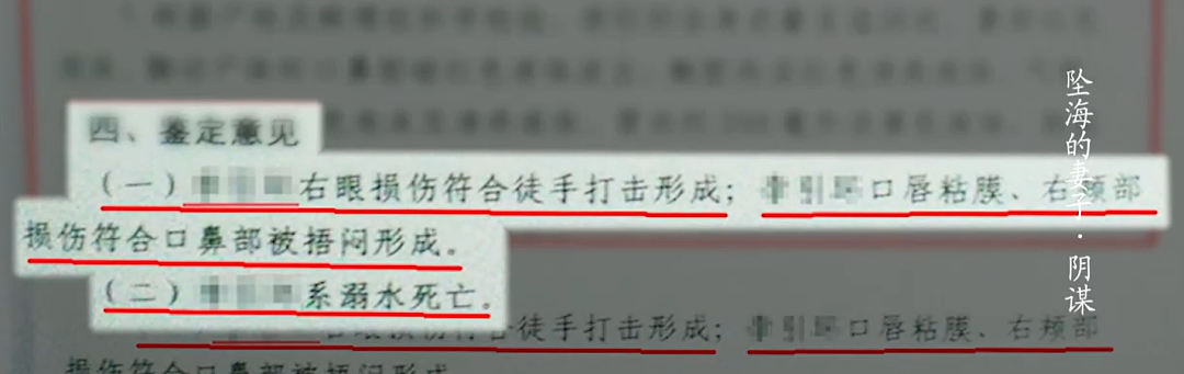 比消失的她更恐怖！男子为1200万保金推妻坠海致溺亡，事后还在酒店招嫖（组图） - 50