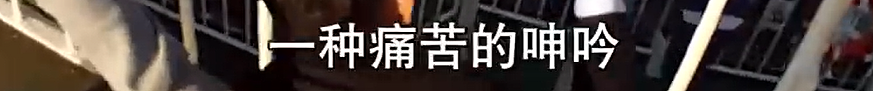 比消失的她更恐怖！男子为1200万保金推妻坠海致溺亡，事后还在酒店招嫖（组图） - 14