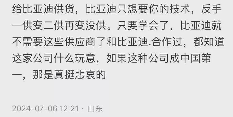 你以为自己姓赵了？ 比亚迪被供应商扇了一巴掌（组图） - 10