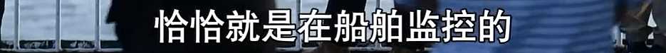 比消失的她更恐怖！男子为1200万保金推妻坠海致溺亡，事后还在酒店招嫖（组图） - 29