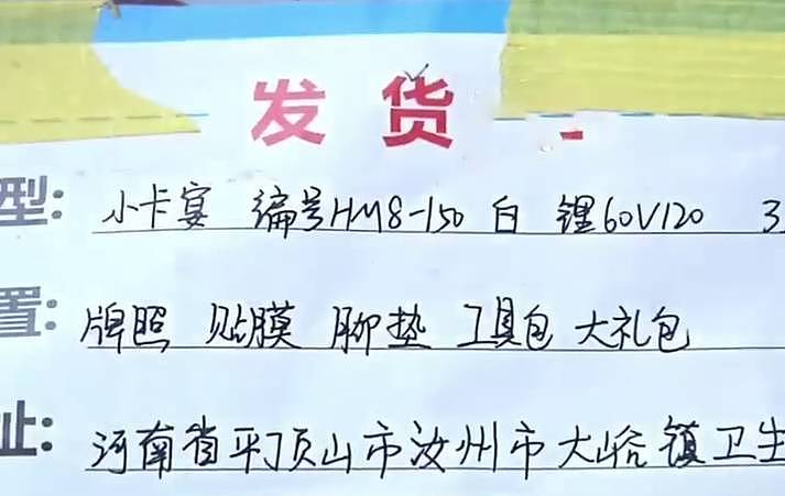 山寨保时捷！爆笑车标“马变驴” ，河南大叔¥2万买入永无法充满电的车...（组图） - 13