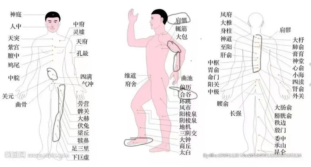 武汉理工研究生跳楼案：导师的管家、按摩师和“干儿子”（组图） - 16