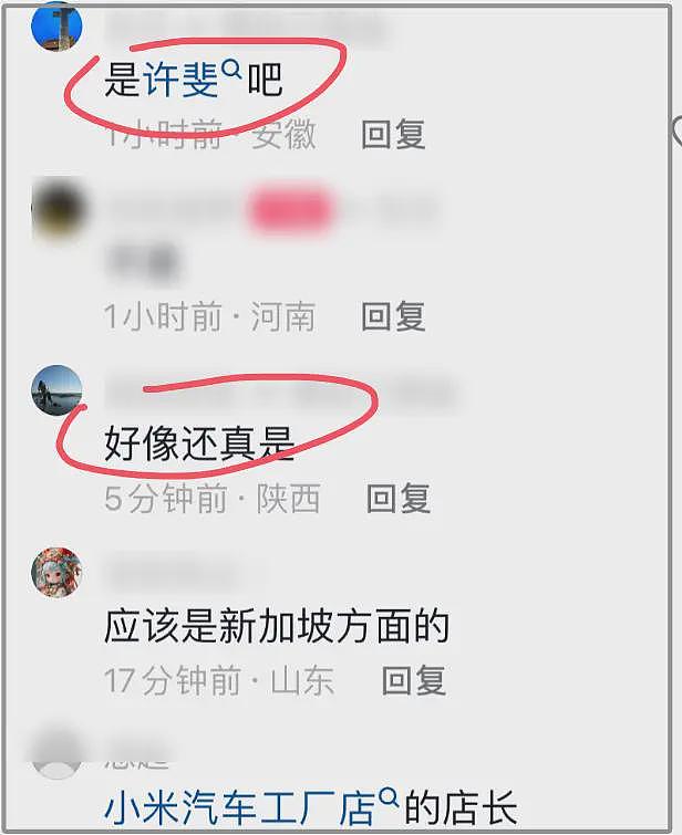 雷军接待李显龙参观小米工厂，被调侃要学英文，试驾美女身份被扒（组图） - 10