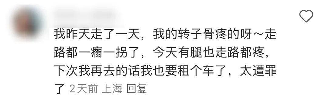 上海迪士尼里电动轮椅扎堆，被吐槽“开碰碰车”... 后续或调整电动轮椅规则（组图） - 34