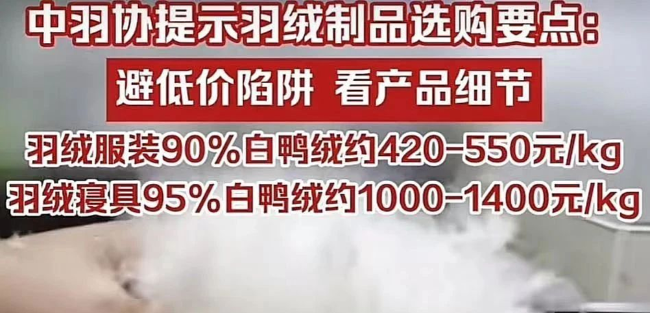 比卫生巾塌房还恶心！央视曝光的这个“骗局”，你的孩子可能正身处其中（组图） - 16