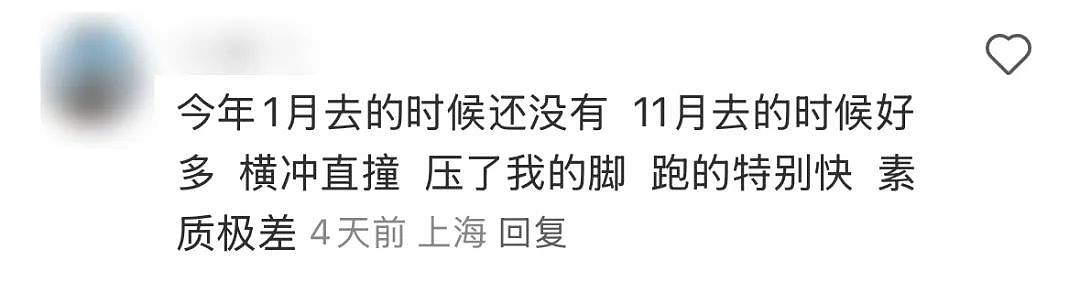 上海迪士尼里电动轮椅扎堆，被吐槽“开碰碰车”... 后续或调整电动轮椅规则（组图） - 10