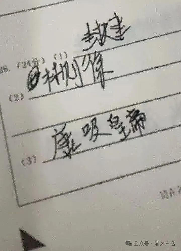 【爆笑】“被相亲对象当成备胎？”哈哈哈哈哈我嘞个接受调剂啊！（组图） - 40