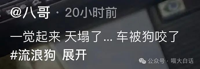 【爆笑】“半夜突然收到轰炸表白信息？”哈哈哈哈哈搞什么偷袭啊（组图） - 21