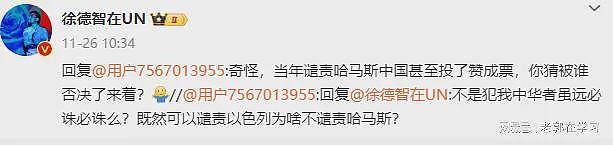 哈马斯绑架中国人？央视驻联合国记者摆实证辟谣，遭水军疯狂攻击（组图） - 5