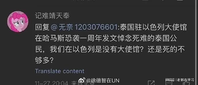 哈马斯绑架中国人？央视驻联合国记者摆实证辟谣，遭水军疯狂攻击（组图） - 11