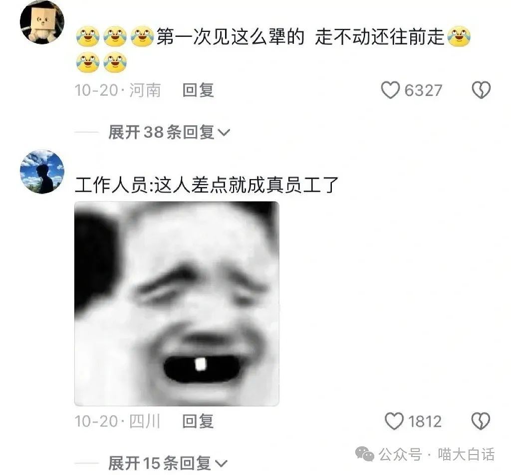 【爆笑】“被相亲对象当成备胎？”哈哈哈哈哈我嘞个接受调剂啊！（组图） - 67