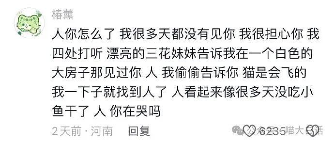 【爆笑】“半夜突然收到轰炸表白信息？”哈哈哈哈哈搞什么偷袭啊（组图） - 39