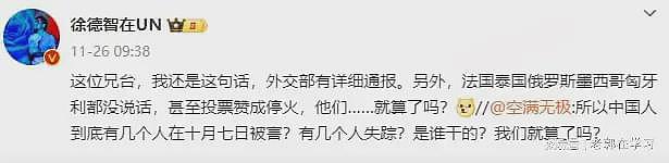 哈马斯绑架中国人？央视驻联合国记者摆实证辟谣，遭水军疯狂攻击（组图） - 4