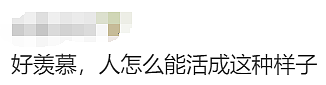 华人留学生发帖：为给企鹅织毛衣，经济学导师辞职了！一切都是澳洲发起的（组图） - 5