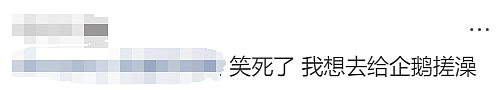 华人留学生发帖：为给企鹅织毛衣，经济学导师辞职了！一切都是澳洲发起的（组图） - 12