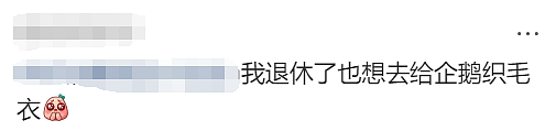 华人留学生发帖：为给企鹅织毛衣，经济学导师辞职了！一切都是澳洲发起的（组图） - 10