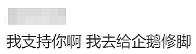 华人留学生发帖：为给企鹅织毛衣，经济学导师辞职了！一切都是澳洲发起的（组图） - 13