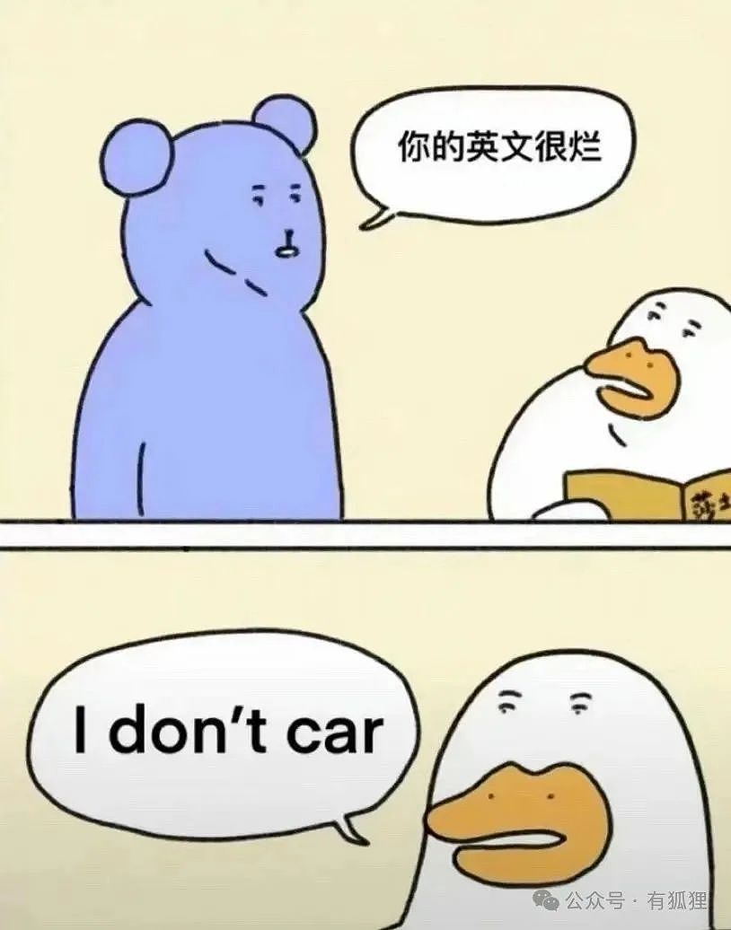 土澳刻板印象梗图（Meme）集锦（组图） - 4