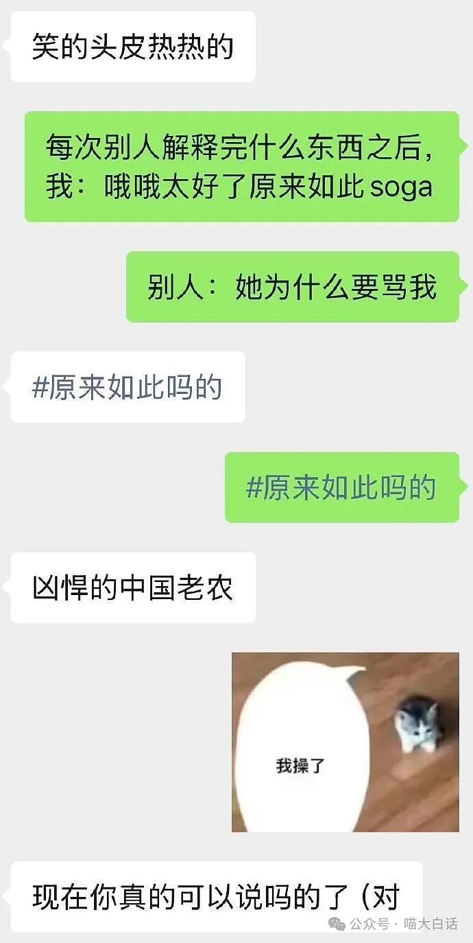 【爆笑】“收到crush发来莫名其妙的信息……”啊啊啊啊啊这还不跑（组图） - 14