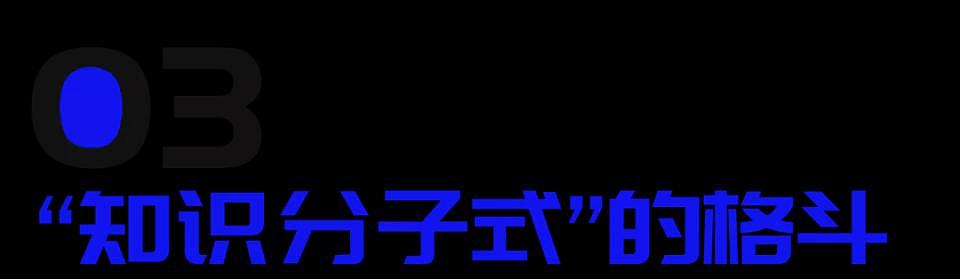 白天行医晚上格斗，这个女孩拿下了UFC冠军（组图） - 13