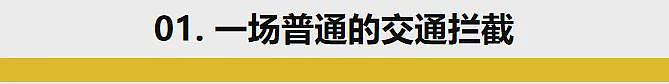 中国留学生美国自驾被捕，保释金1.7亿刀，警员直接笑疯了...（组图） - 3