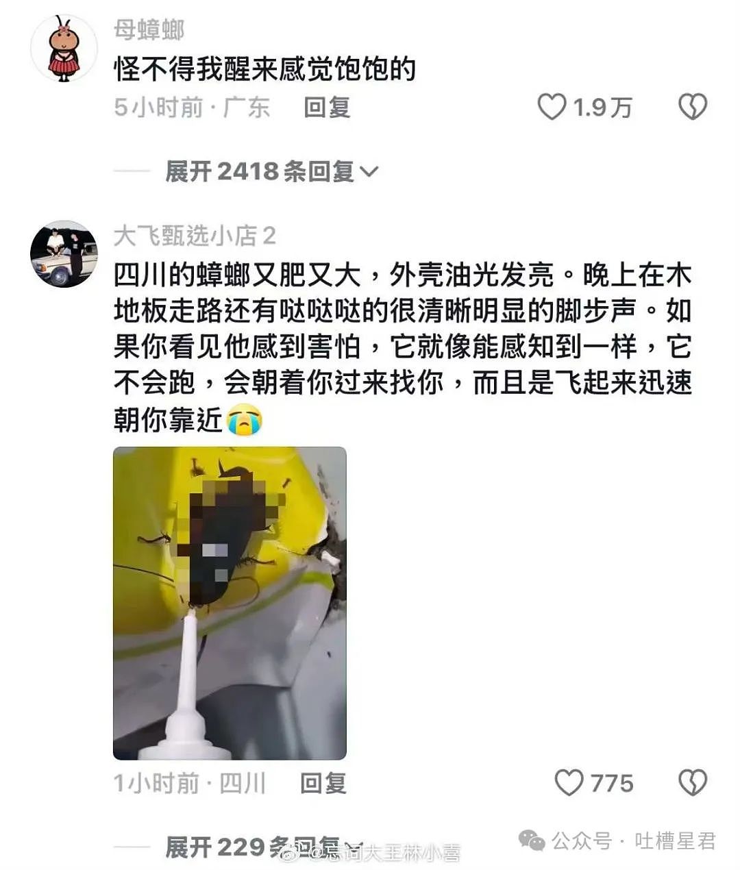 【爆笑】为了视奸前任微信用小号假装自己卖鸡的？哈哈哈好小众的路线（组图） - 62