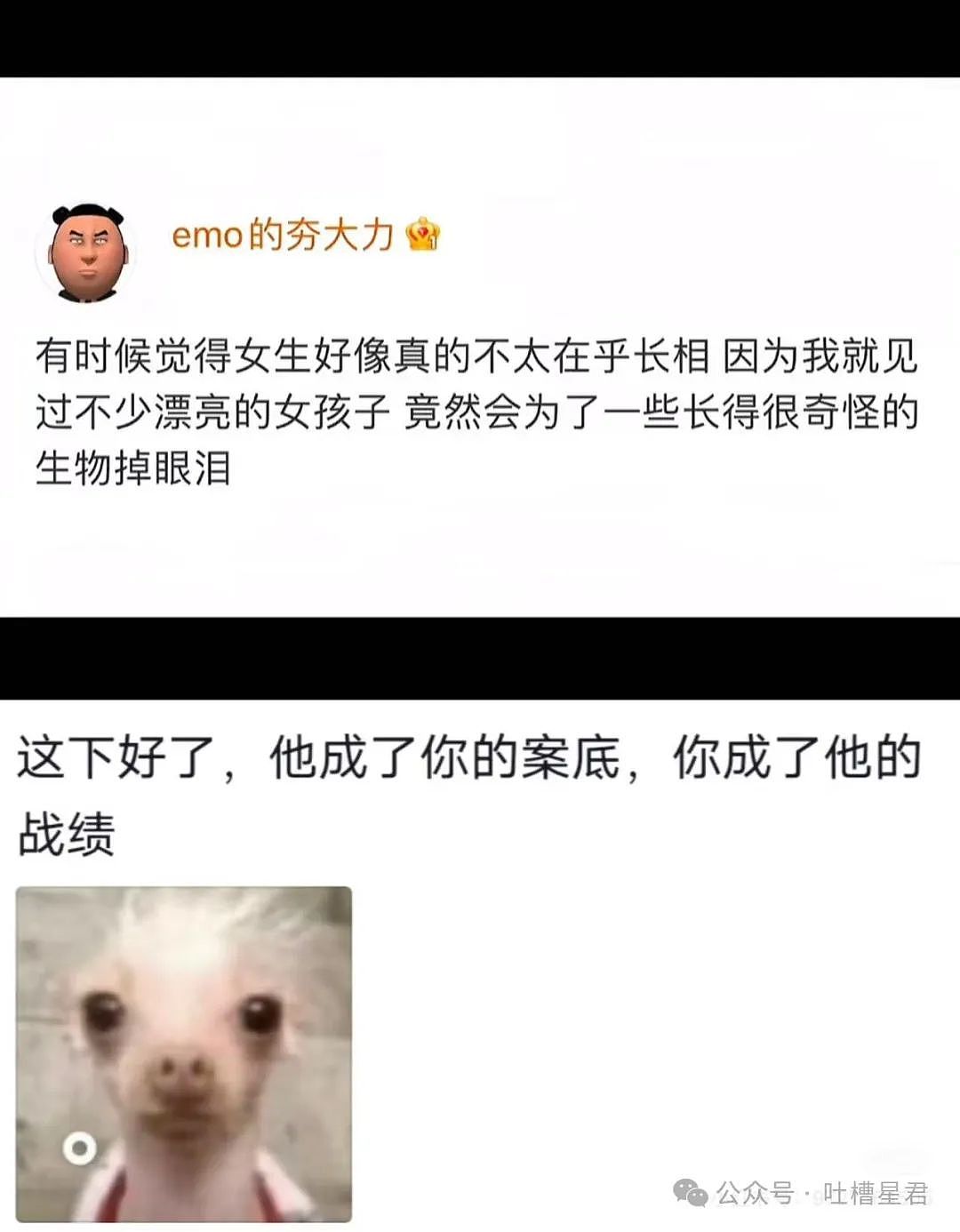 【爆笑】为了视奸前任微信用小号假装自己卖鸡的？哈哈哈好小众的路线（组图） - 44