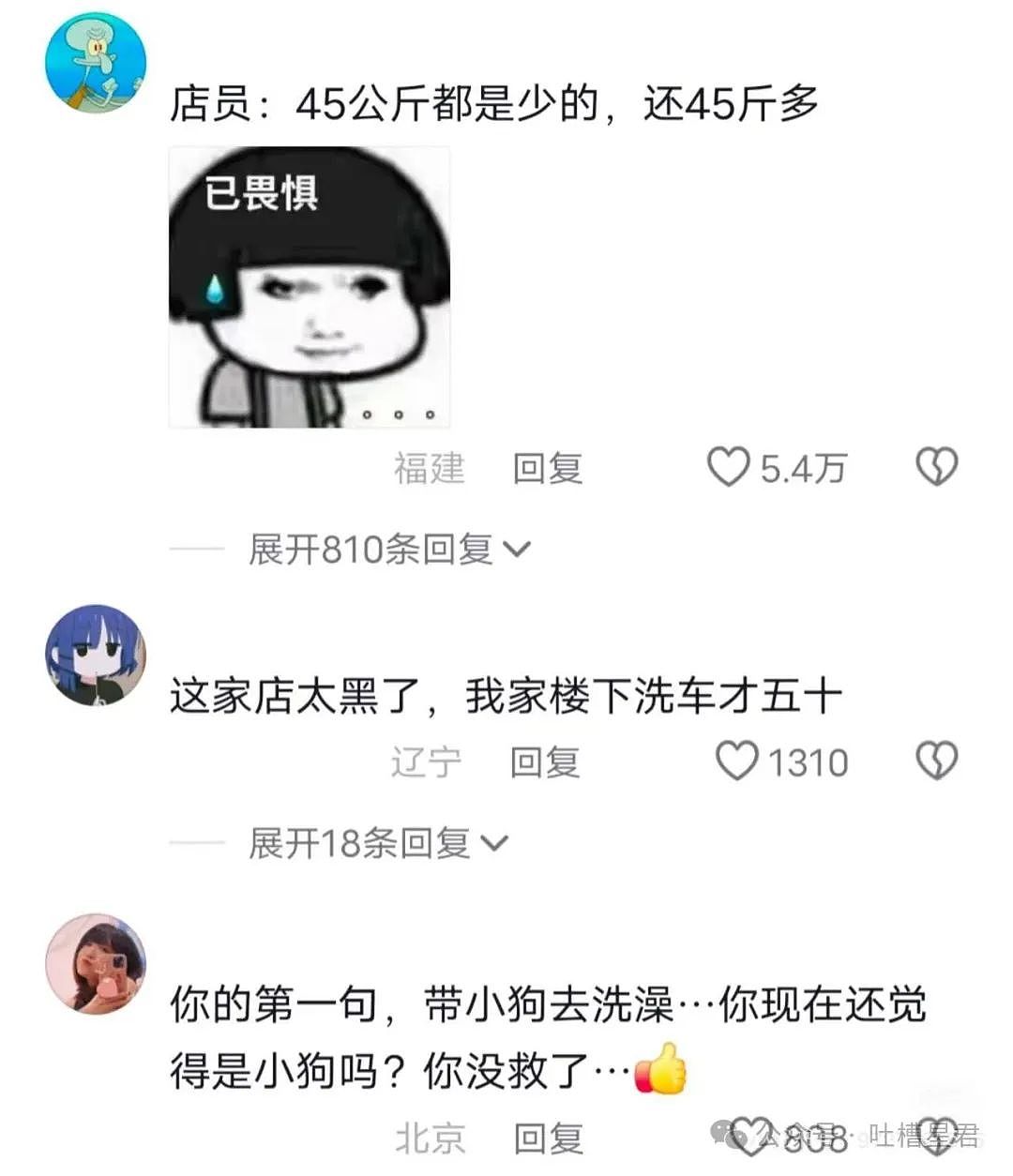 【爆笑】为了视奸前任微信用小号假装自己卖鸡的？哈哈哈好小众的路线（组图） - 36