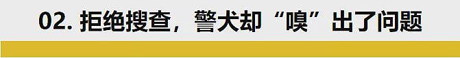 中国留学生美国自驾被捕，保释金1.7亿刀，警员直接笑疯了...（组图） - 7