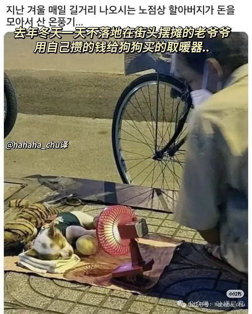 【爆笑】为了视奸前任微信用小号假装自己卖鸡的？哈哈哈好小众的路线（组图） - 20