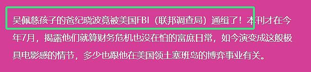 曝吴佩慈男友被美国通缉！人在日本做粉色交易，生4个孩子没名分（组图） - 3