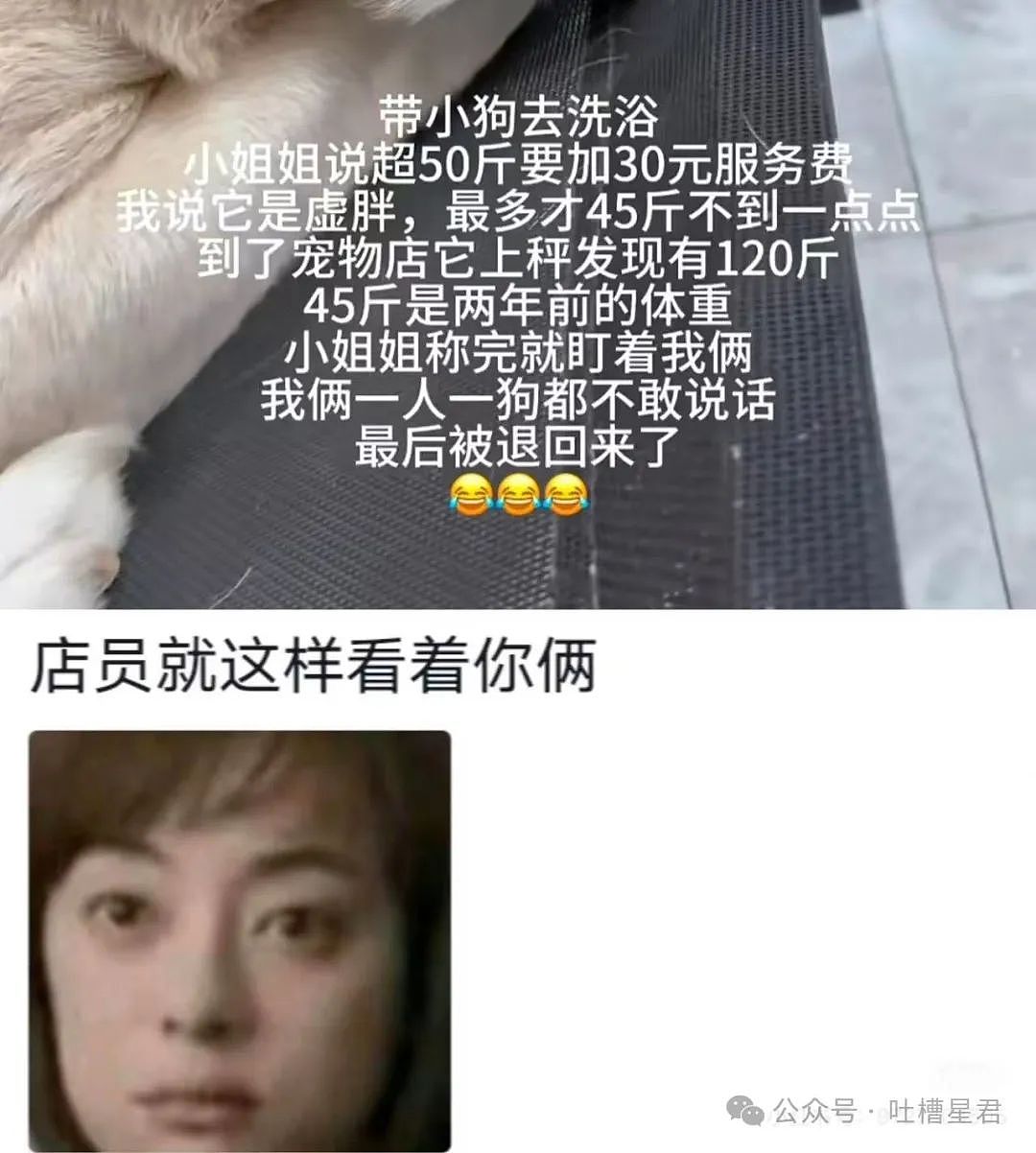 【爆笑】为了视奸前任微信用小号假装自己卖鸡的？哈哈哈好小众的路线（组图） - 34