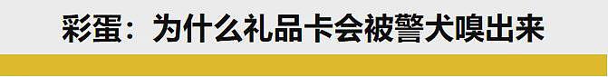 中国留学生美国自驾被捕，保释金1.7亿刀，警员直接笑疯了...（组图） - 18