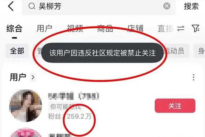 网红“擦边”的并不少，但为何偏偏只有吴柳芳被禁？（组图） - 3