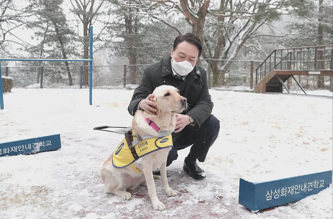 尹锡悦不惜与全韩国为敌也要保下的娇妻，她的故事可比昨晚幺蛾子精彩多了....（组图） - 20