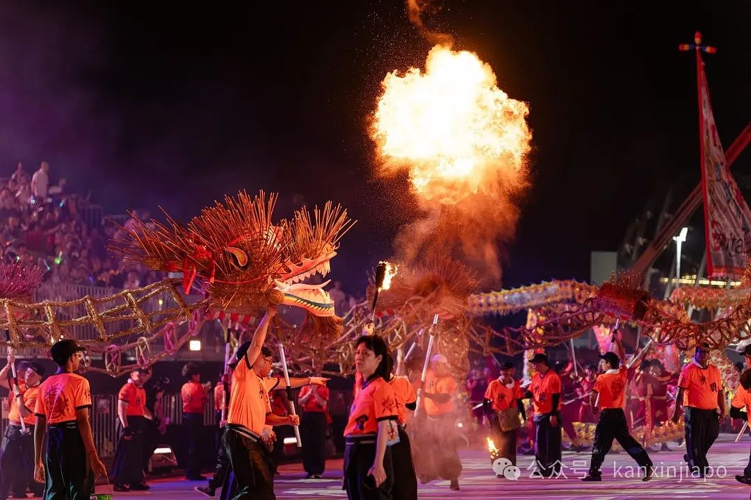 双喜临门！新加坡等五国娘惹服申遗成功！中国春节申遗成功（组图） - 16