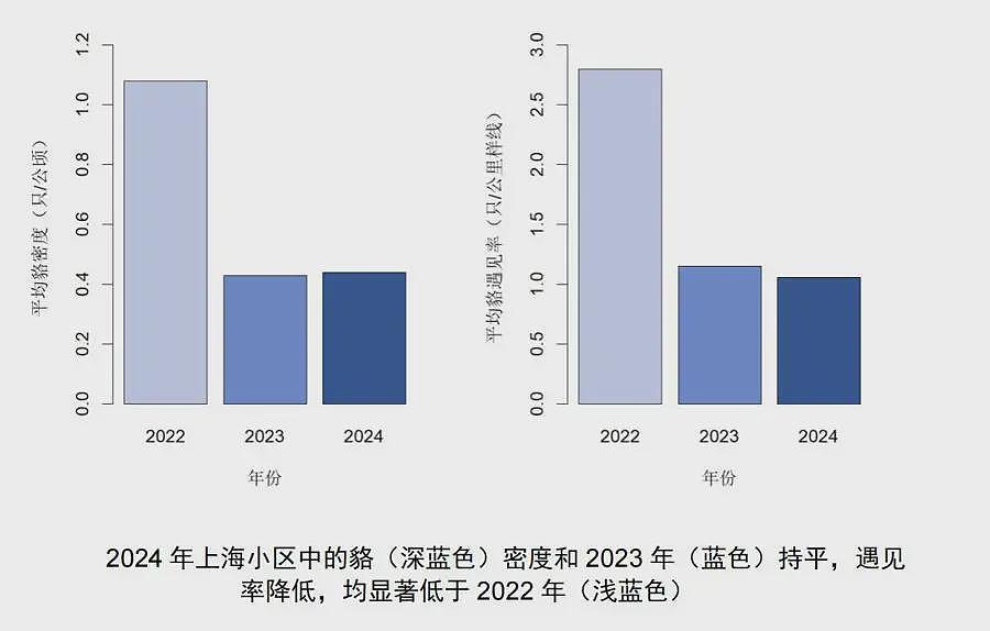 野兽进城，伤人，还学会了看红绿灯…..（组图） - 3