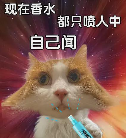 MIT豪门少爷何猷君，被当代打工穷鬼虐惨了（组图） - 21