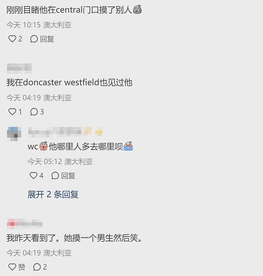 澳华人区惊现“变态”！见人就摸，男女都遭殃，“摸完还对你笑”（组图） - 9