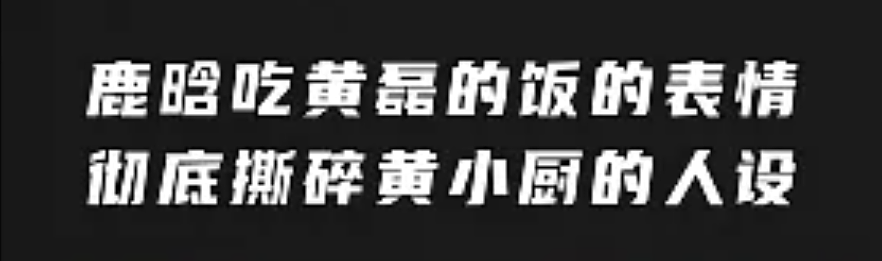 恶心2亿人的李行亮麦琳，被流量彻底反噬了......（组图） - 47