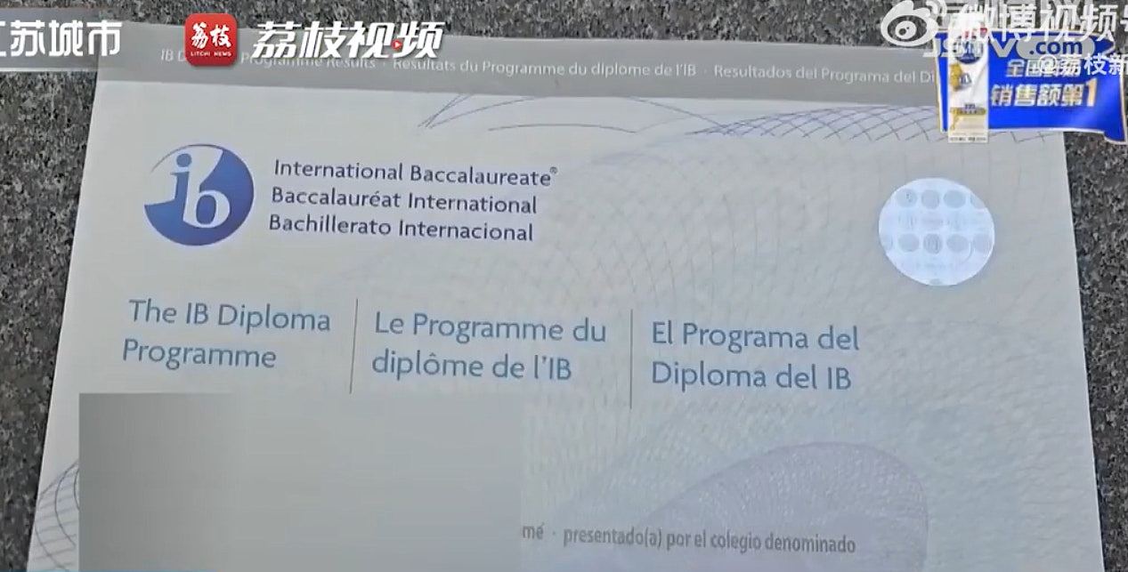 崩溃！南京女孩花70万入港大1年遭退学，家属指中介伪造美高中学历和IB成绩（组图） - 3
