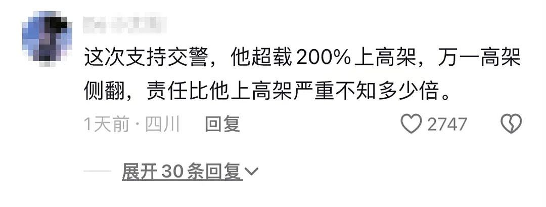 郑州货车司机跳桥事件，评论区一句话戳穿真相！（组图） - 8