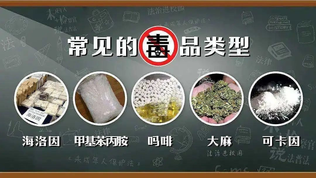 华人注意！中国出台入境新规，这类物品多带将面临重罚（组图） - 8