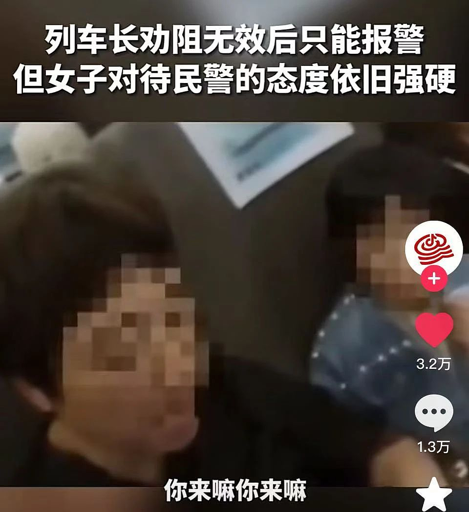 全网疯传的“贵妇”母女火车4分钟事件：是真不要脸，也是真解气！（组图） - 12