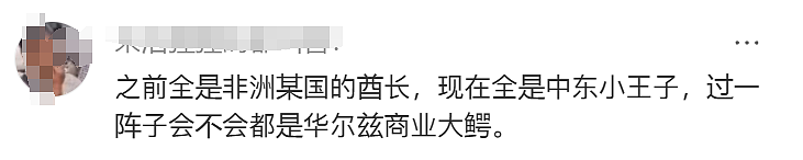 最近，突然涌现一批中国女孩嫁中东王子，“怀了王室骨肉”，开始处理国内资产…（组图） - 31