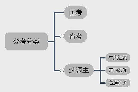 “对不起，我们定向选调不招留学生”，北京的留学生考公天塌了？网友：又一条就业路断了（组图） - 6