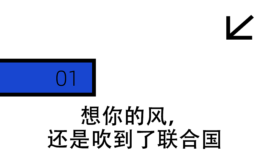 花200块当一天精英？网红正在占领联合国（组图） - 5